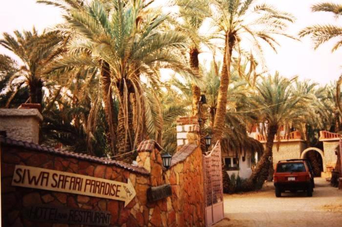 Siwa Paradise Siwa Oasis Exterior photo